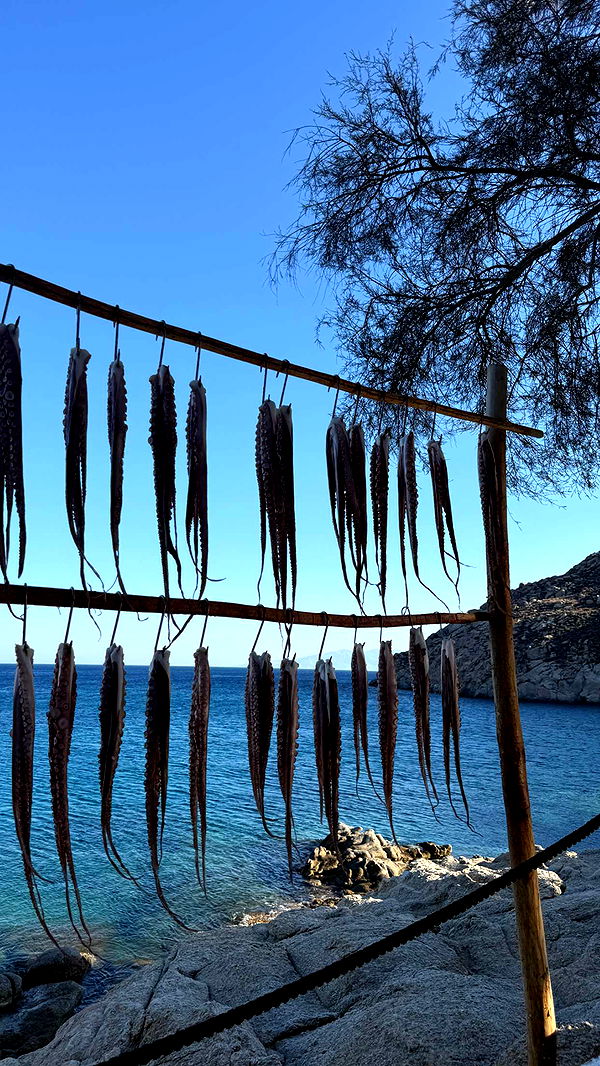 samantrasunny image ~ Altpins