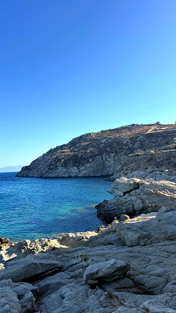 samantrasunny image ~ Altpins