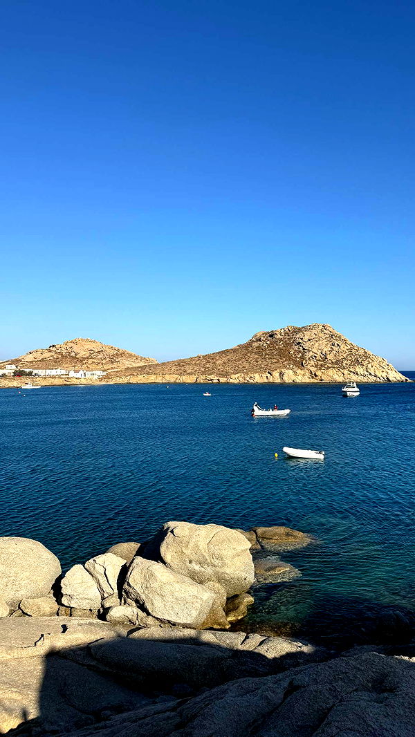 samantrasunny image ~ Altpins