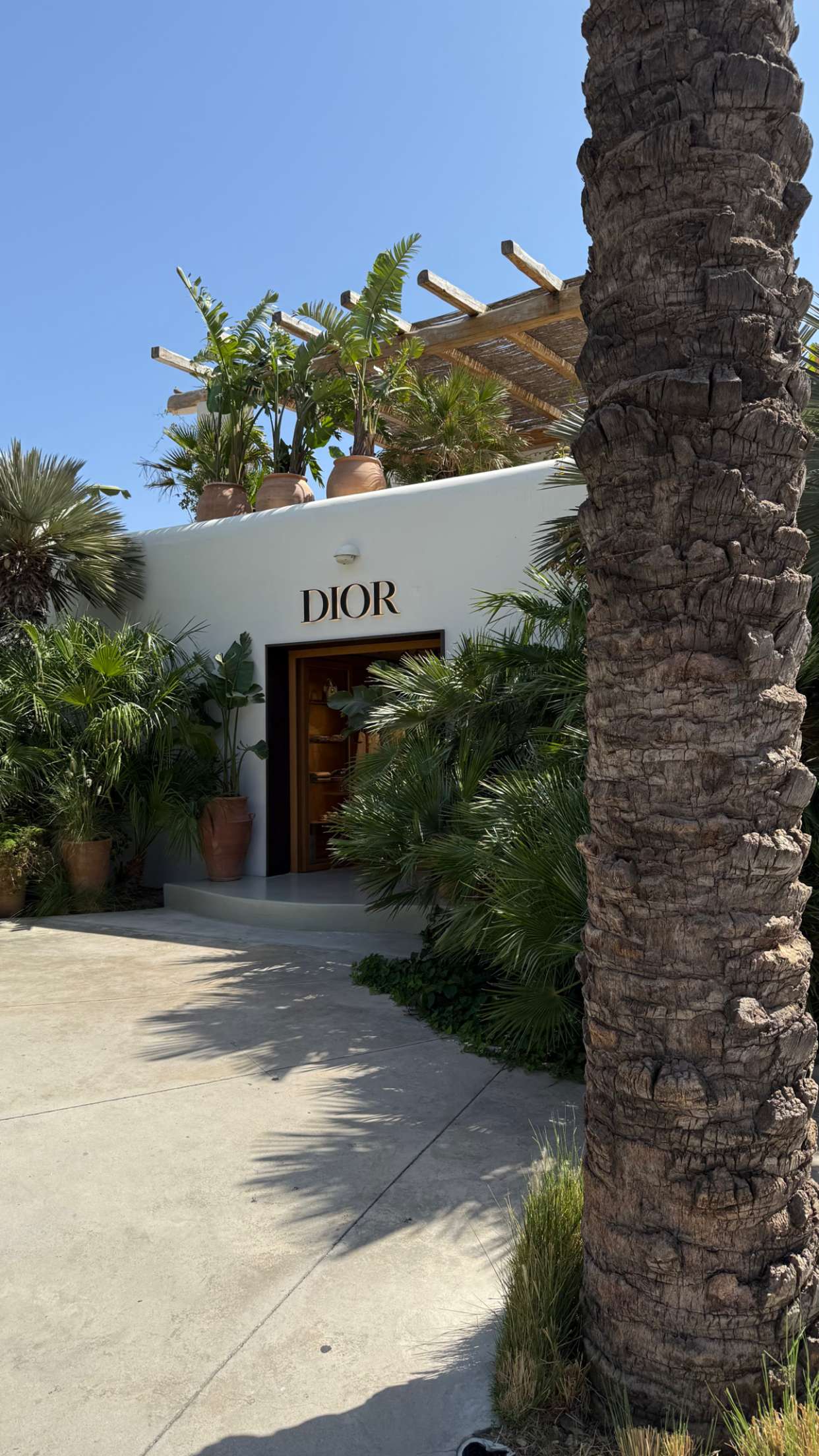 samantrasunny snapchat image archive image