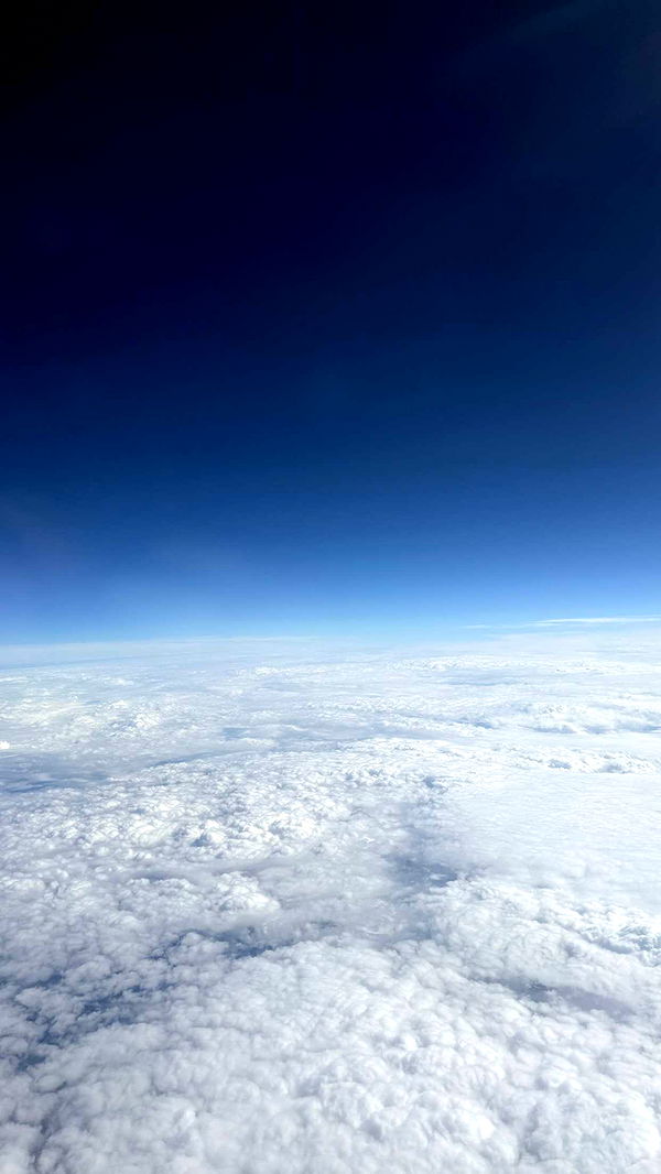 samantrasunny image ~ Altpins