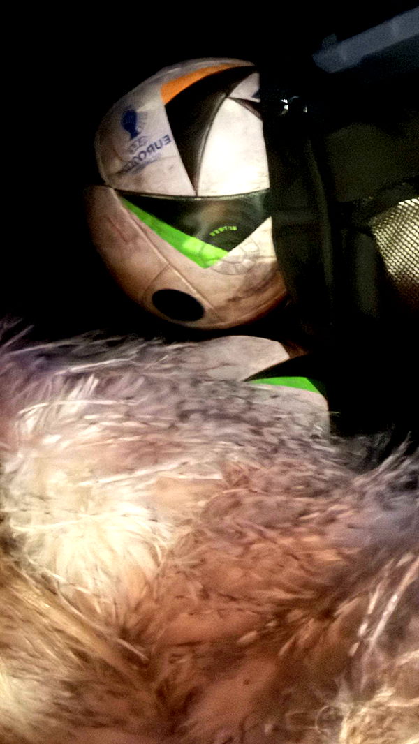 samantrasunny image ~ Altpins