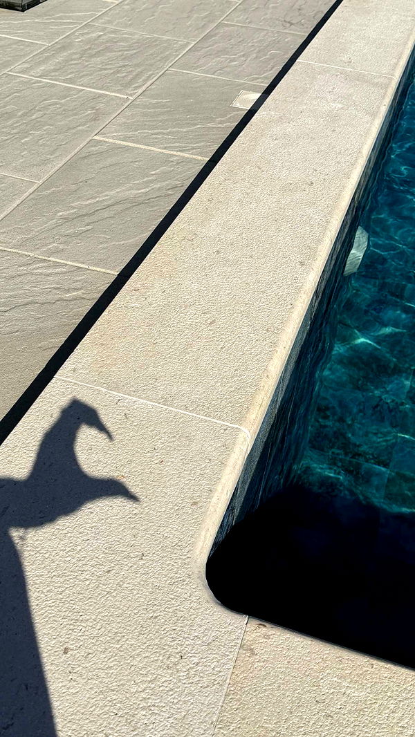 samantrasunny image ~ Altpins