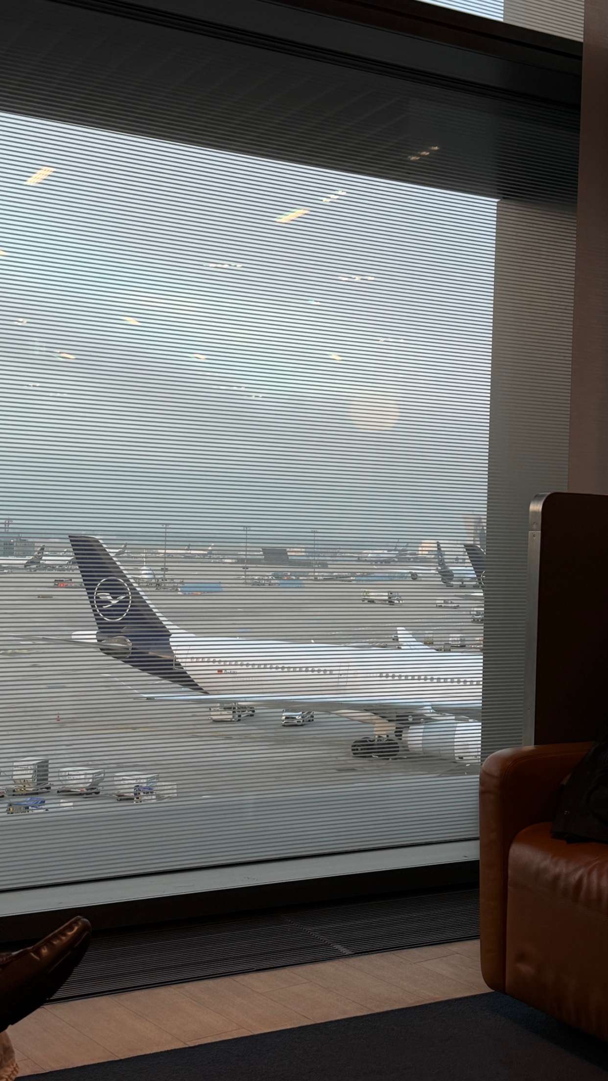 samantrasunny snapchat image archive image