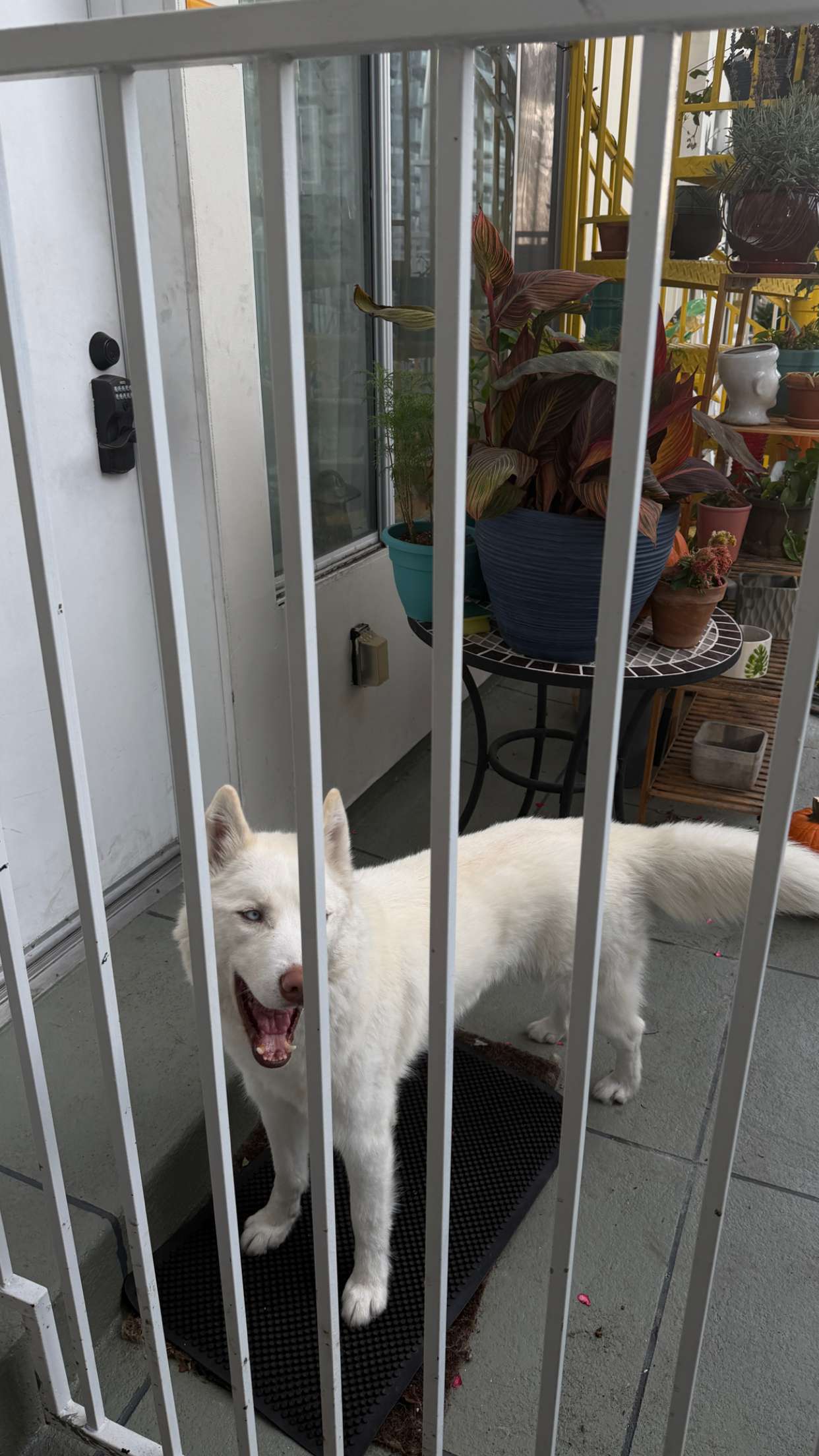 samantrasunny snapchat image archive image