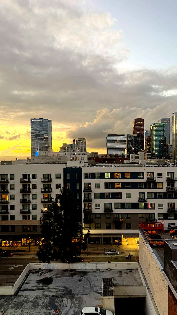 samantrasunny image ~ Altpins