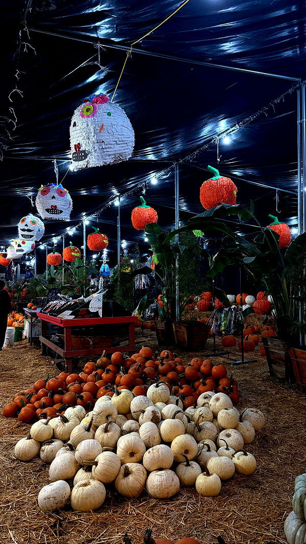 samantrasunny image ~ Altpins