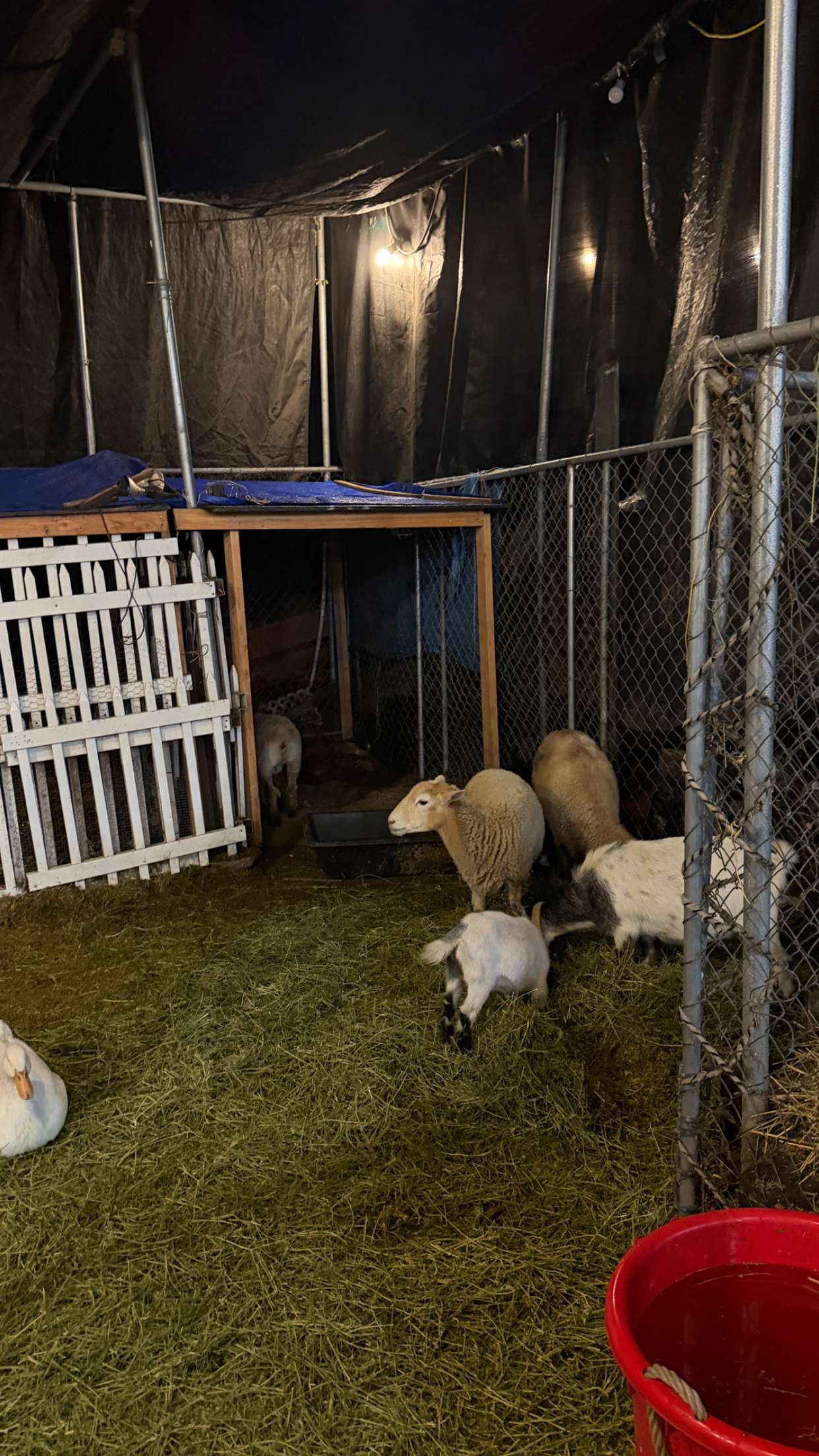 samantrasunny snapchat image archive image