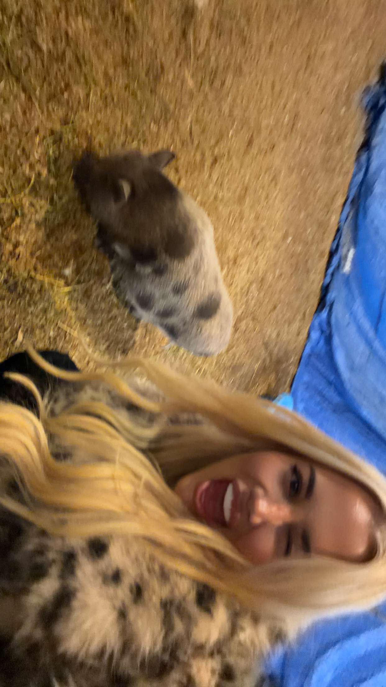 samantrasunny snapchat image archive image