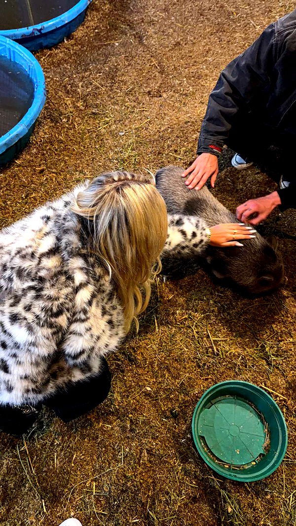 samantrasunny image ~ Altpins