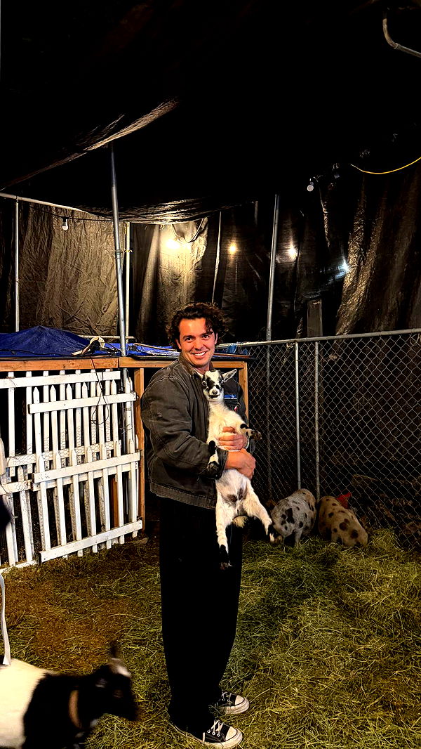 samantrasunny image ~ Altpins