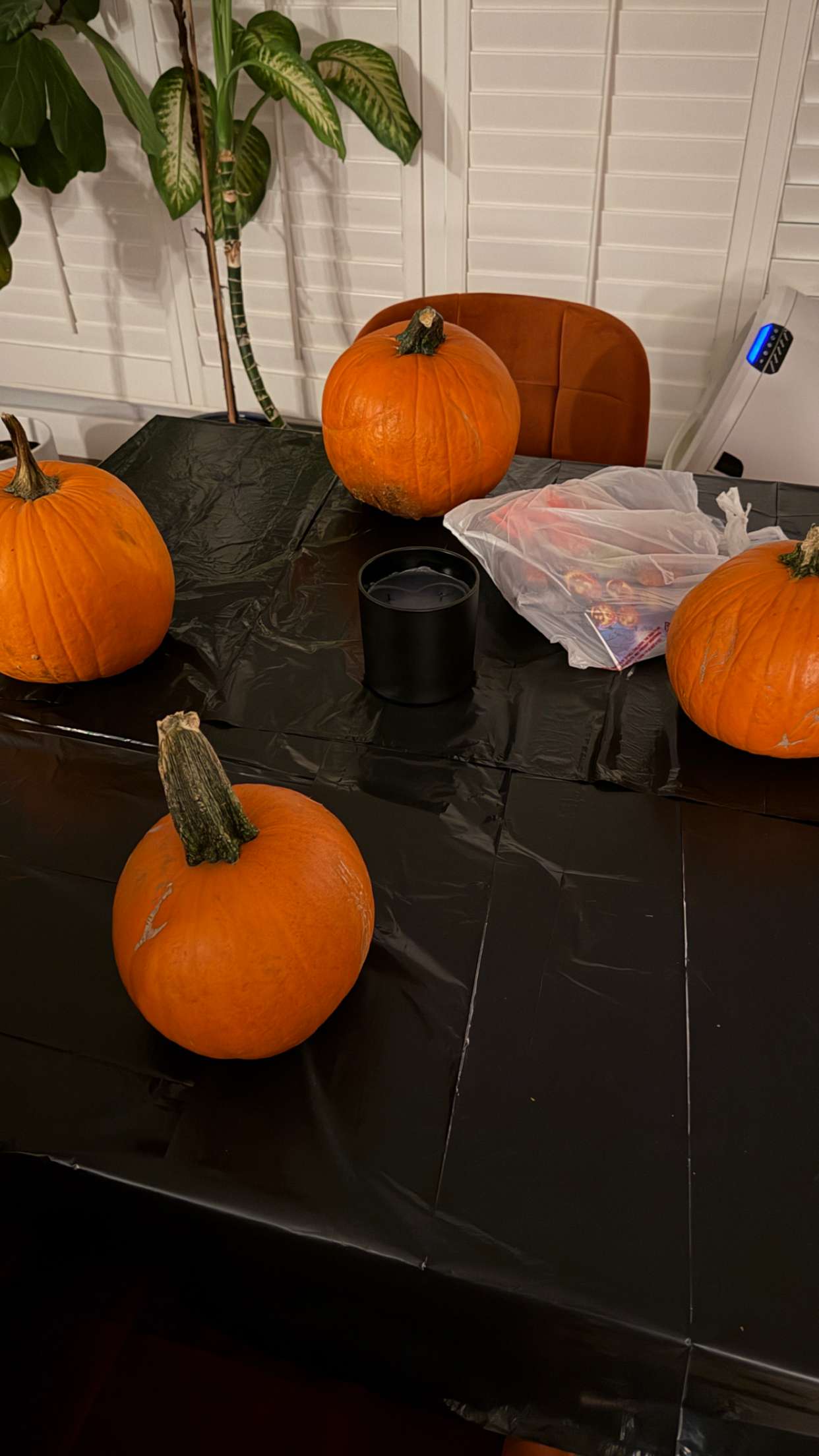 samantrasunny snapchat image archive image