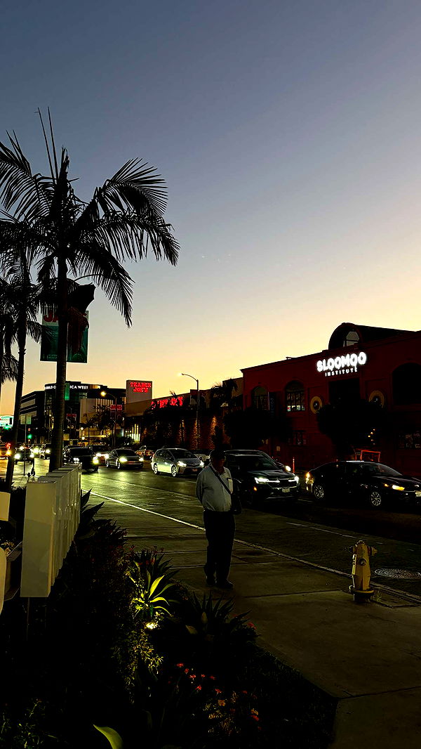 samantrasunny image ~ Altpins