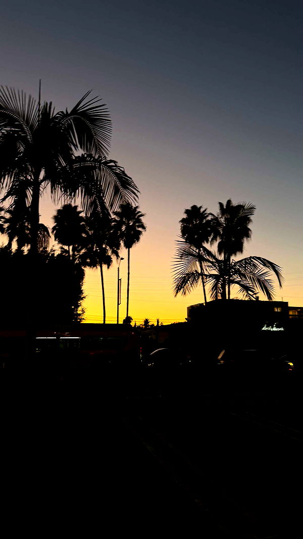 samantrasunny image ~ Altpins