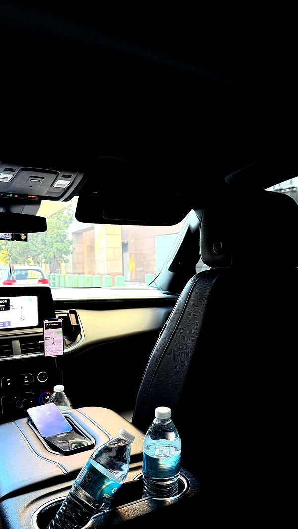 samantrasunny image ~ Altpins