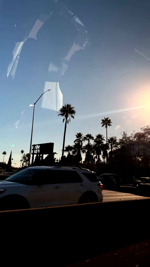 samantrasunny image ~ Altpins