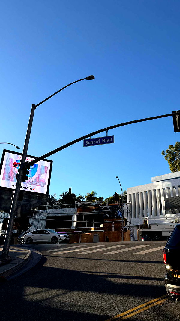 samantrasunny image ~ Altpins