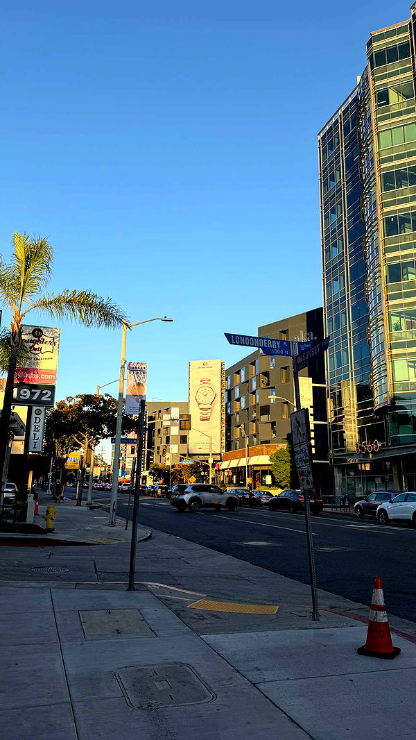 samantrasunny image ~ Altpins