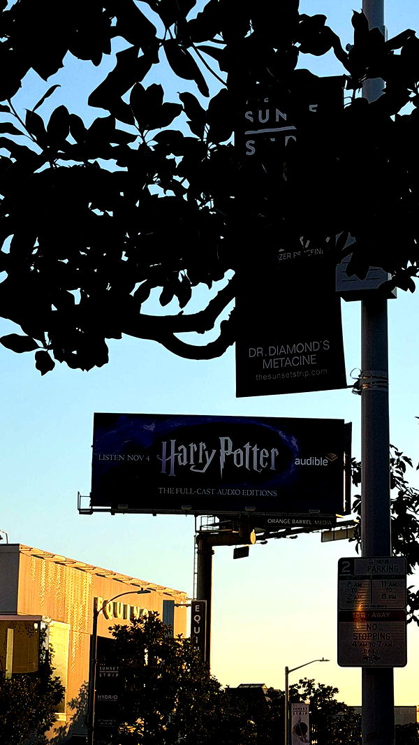 samantrasunny image ~ Altpins