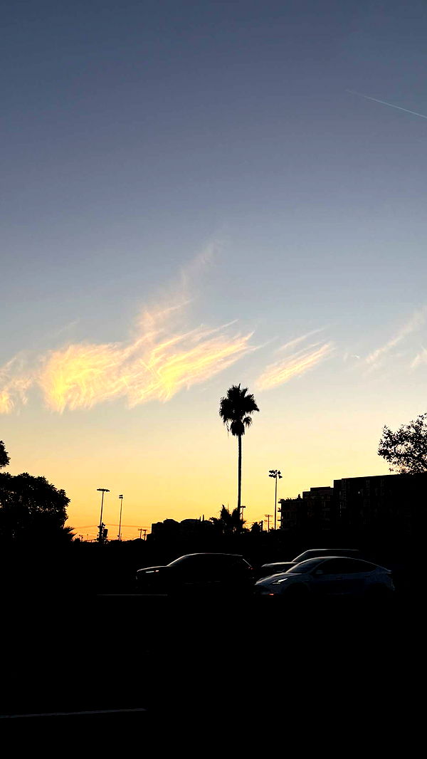 samantrasunny image ~ Altpins