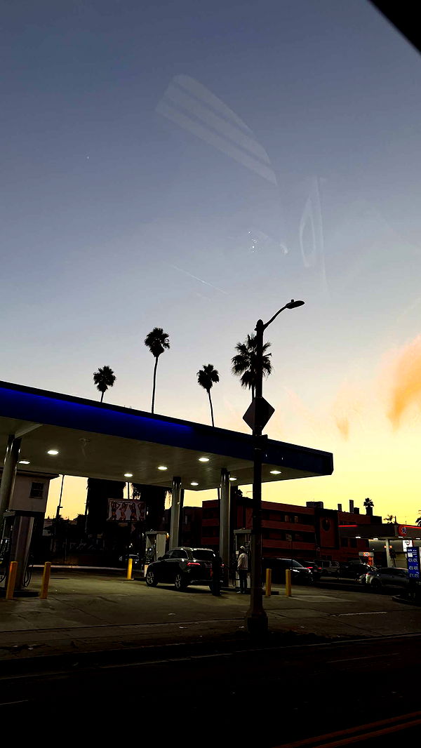 samantrasunny image ~ Altpins