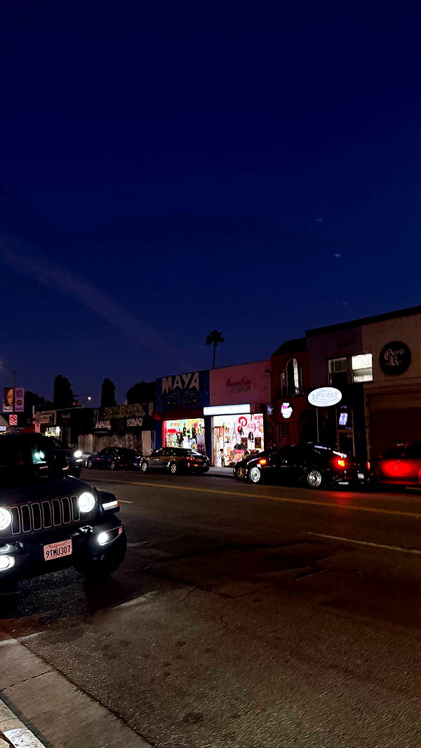 samantrasunny image ~ Altpins