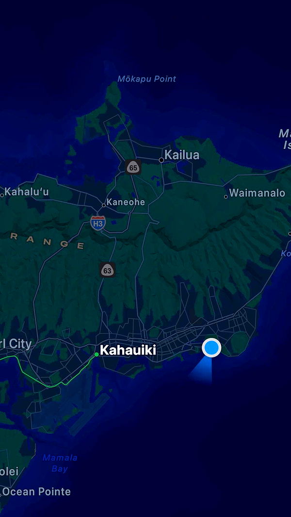 samantrasunny image ~ Altpins