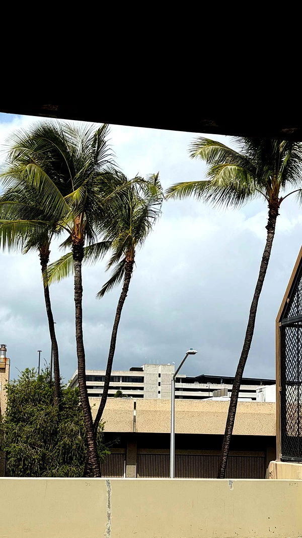 samantrasunny image ~ Altpins