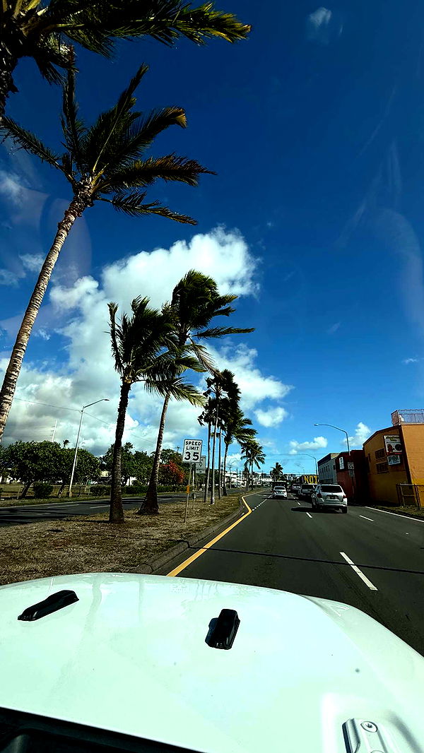 samantrasunny image ~ Altpins