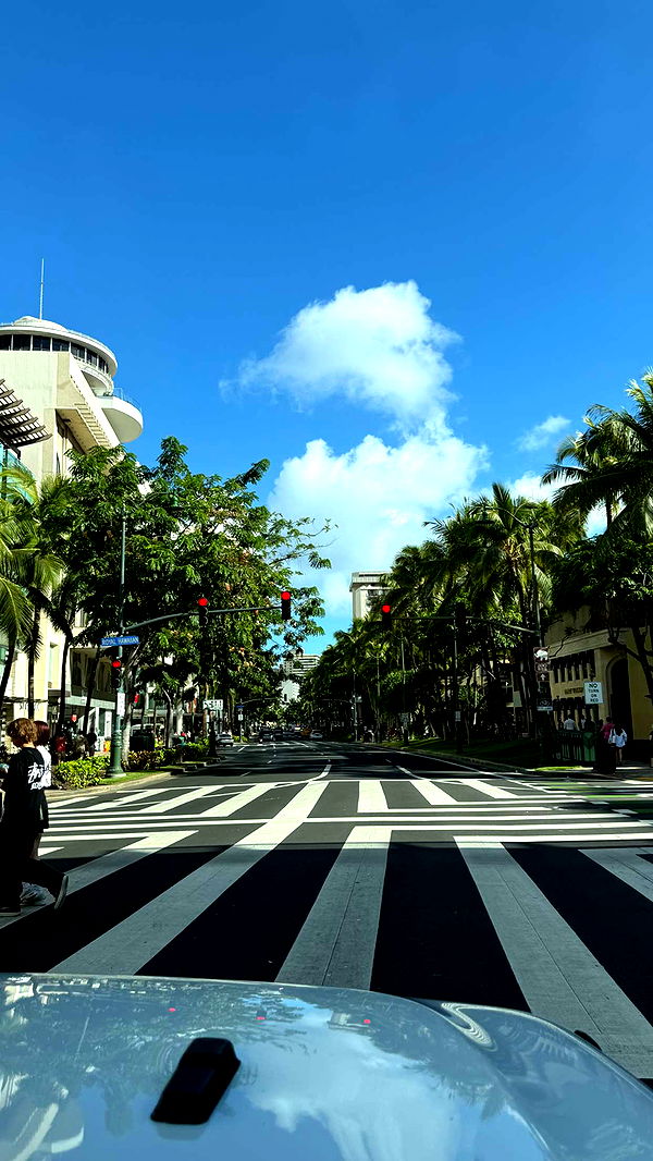 samantrasunny image ~ Altpins