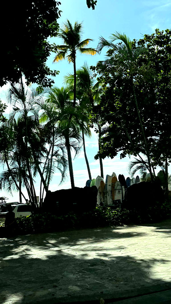 samantrasunny image ~ Altpins