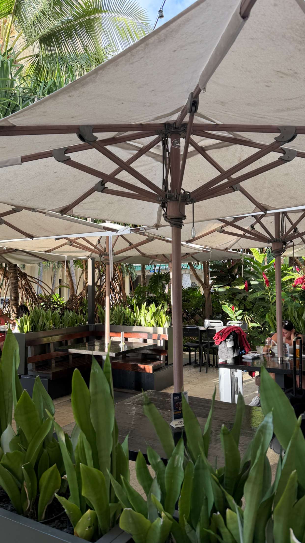 samantrasunny snapchat image archive image