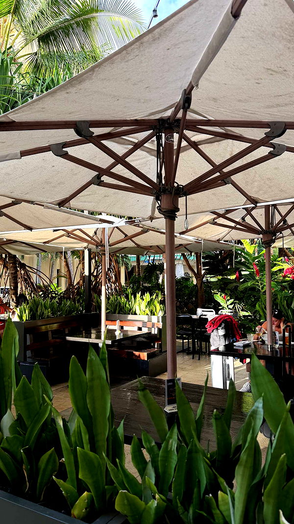 samantrasunny image ~ Altpins