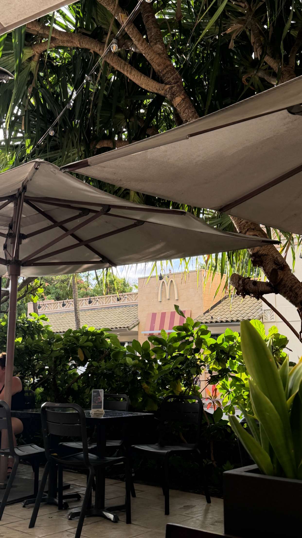 samantrasunny snapchat image archive image