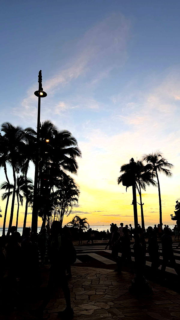 samantrasunny image ~ Altpins