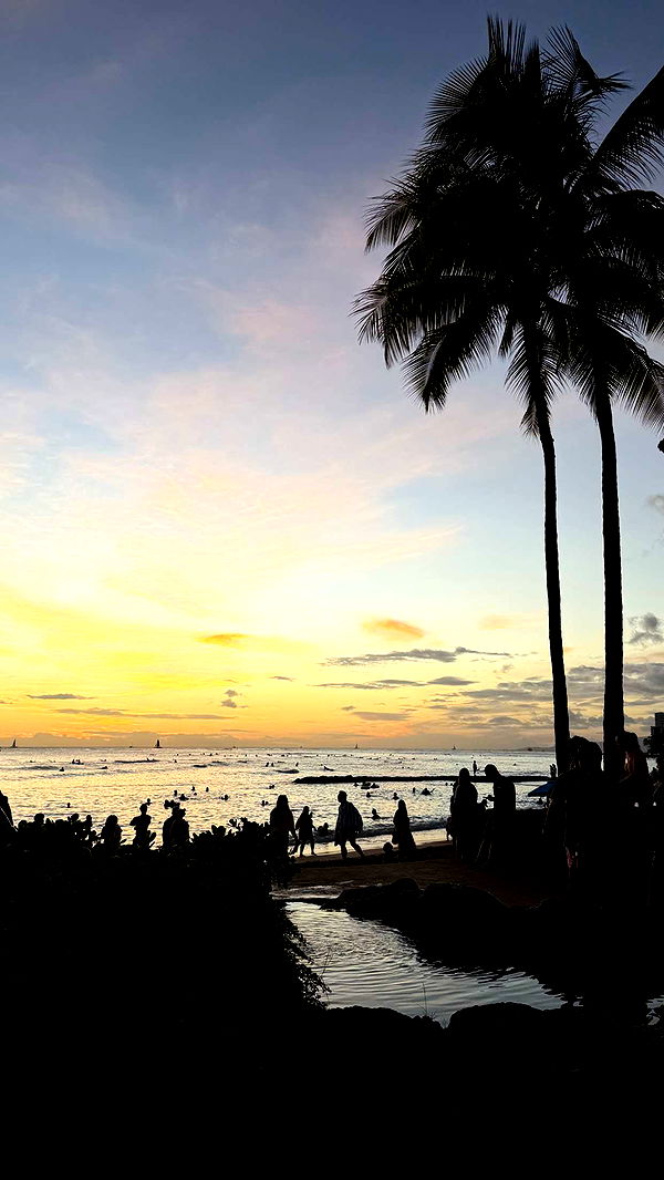 samantrasunny image ~ Altpins