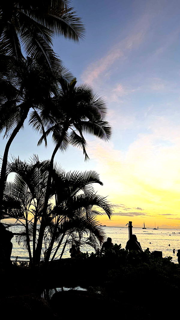 samantrasunny image ~ Altpins