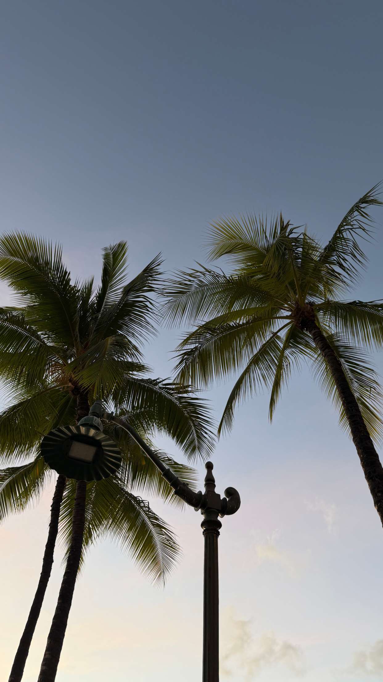 samantrasunny snapchat image archive image