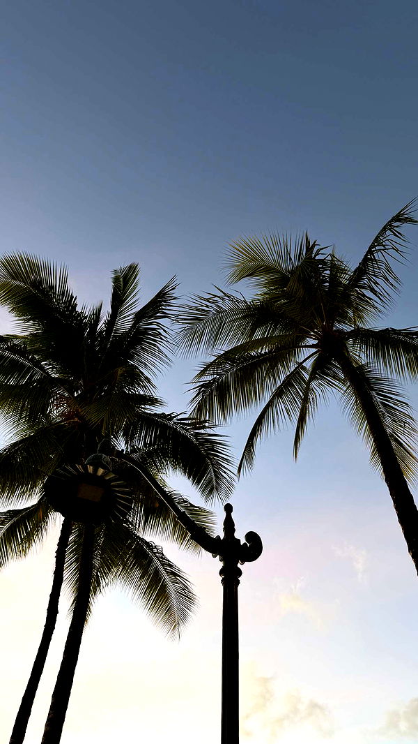 samantrasunny image ~ Altpins