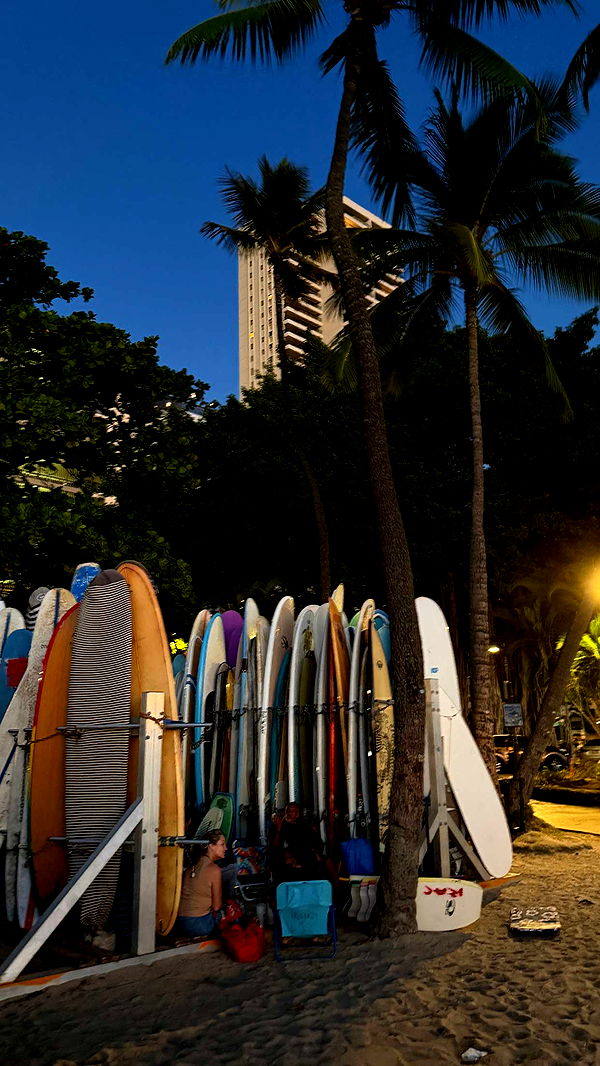 samantrasunny image ~ Altpins