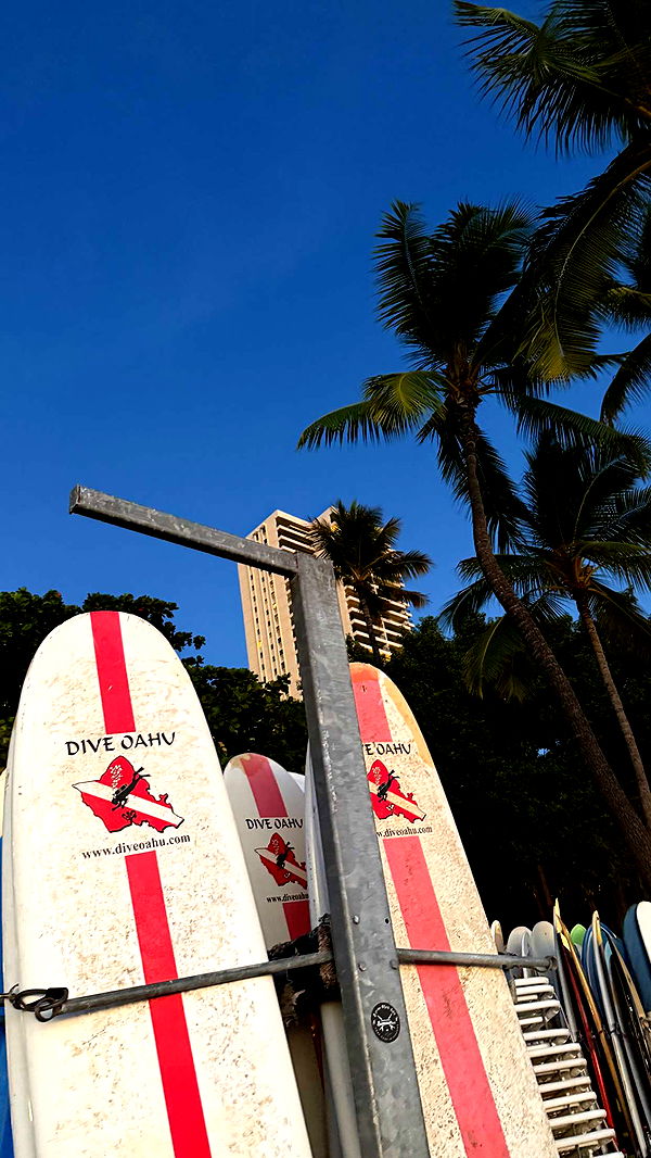 samantrasunny image ~ Altpins