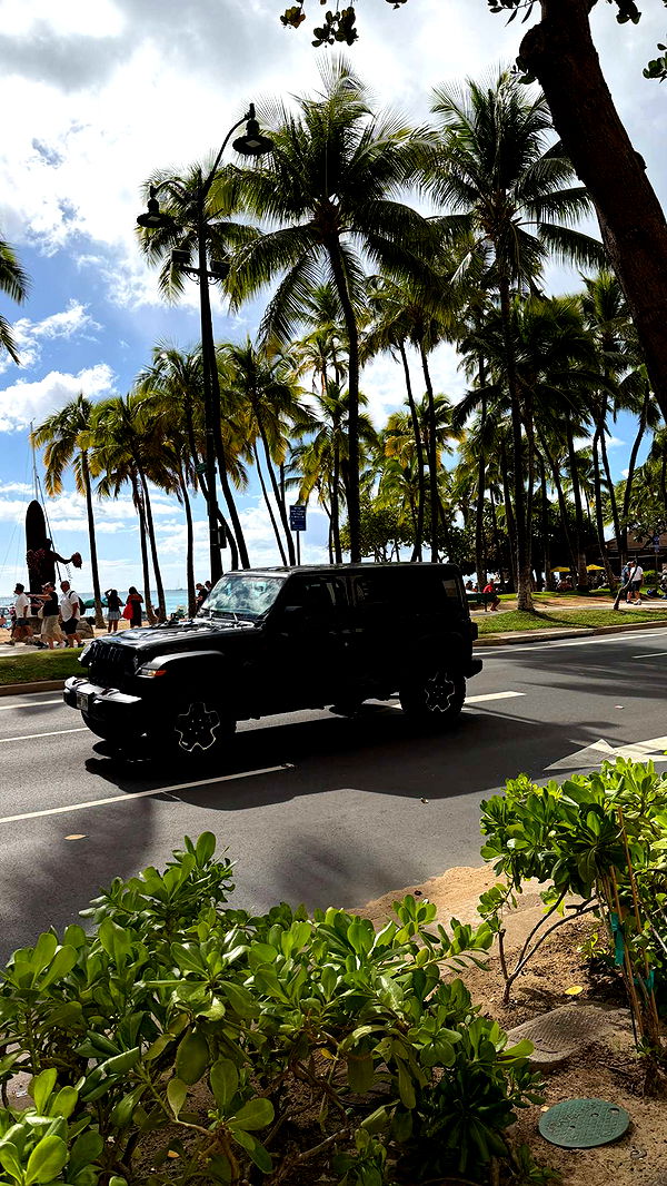 samantrasunny image ~ Altpins