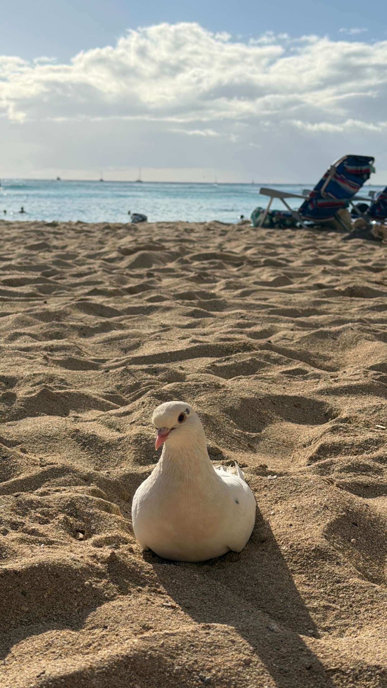 samantrasunny snapchat image archive image