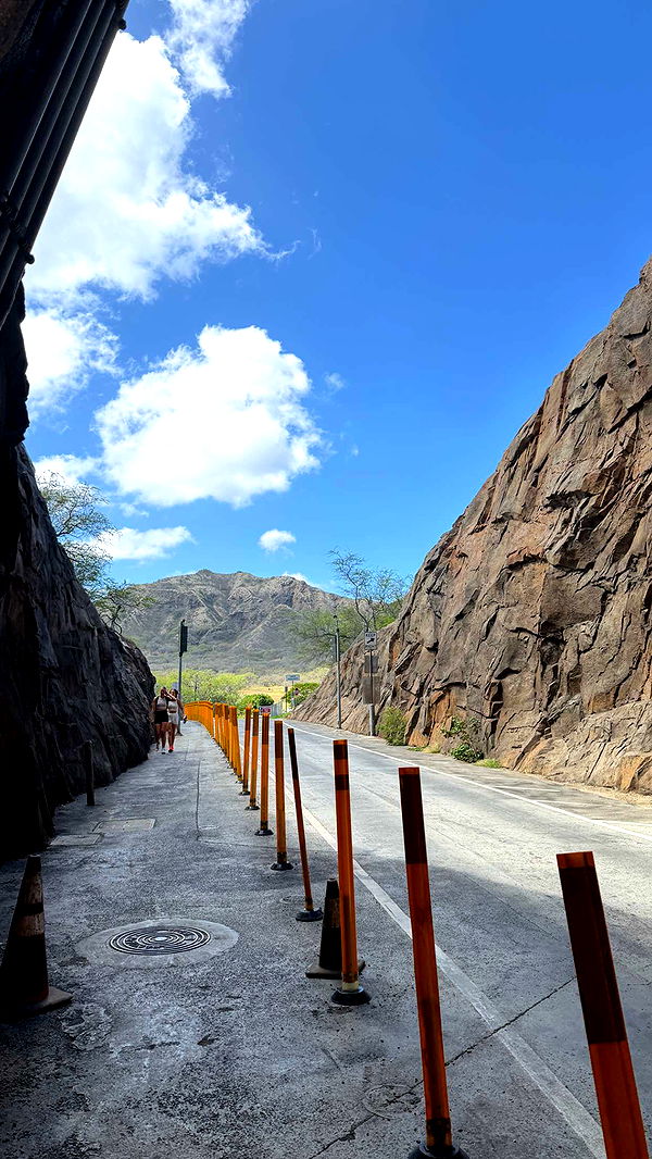 samantrasunny image ~ Altpins