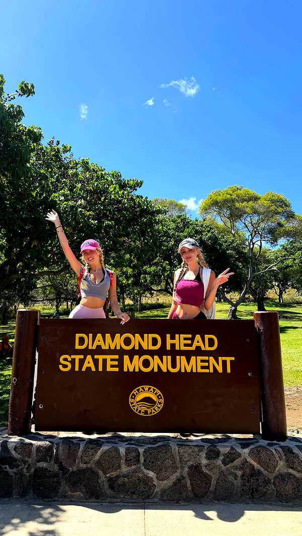 samantrasunny image ~ Altpins