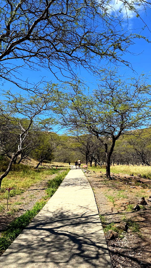 samantrasunny image ~ Altpins