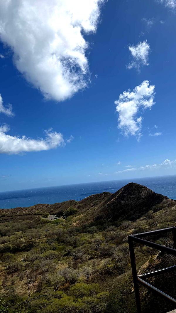 samantrasunny image ~ Altpins