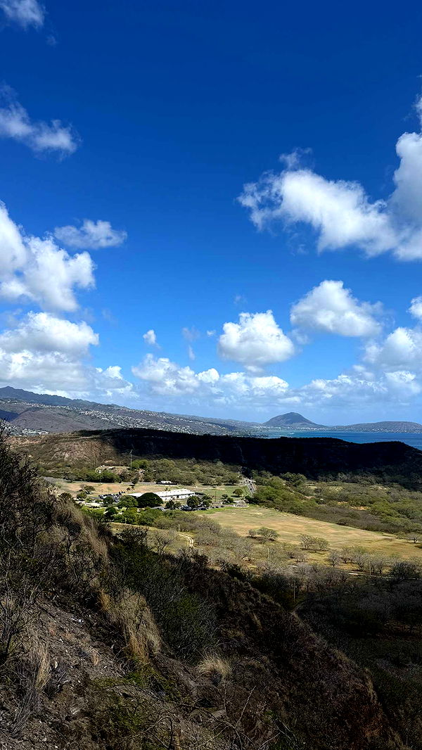 samantrasunny image ~ Altpins