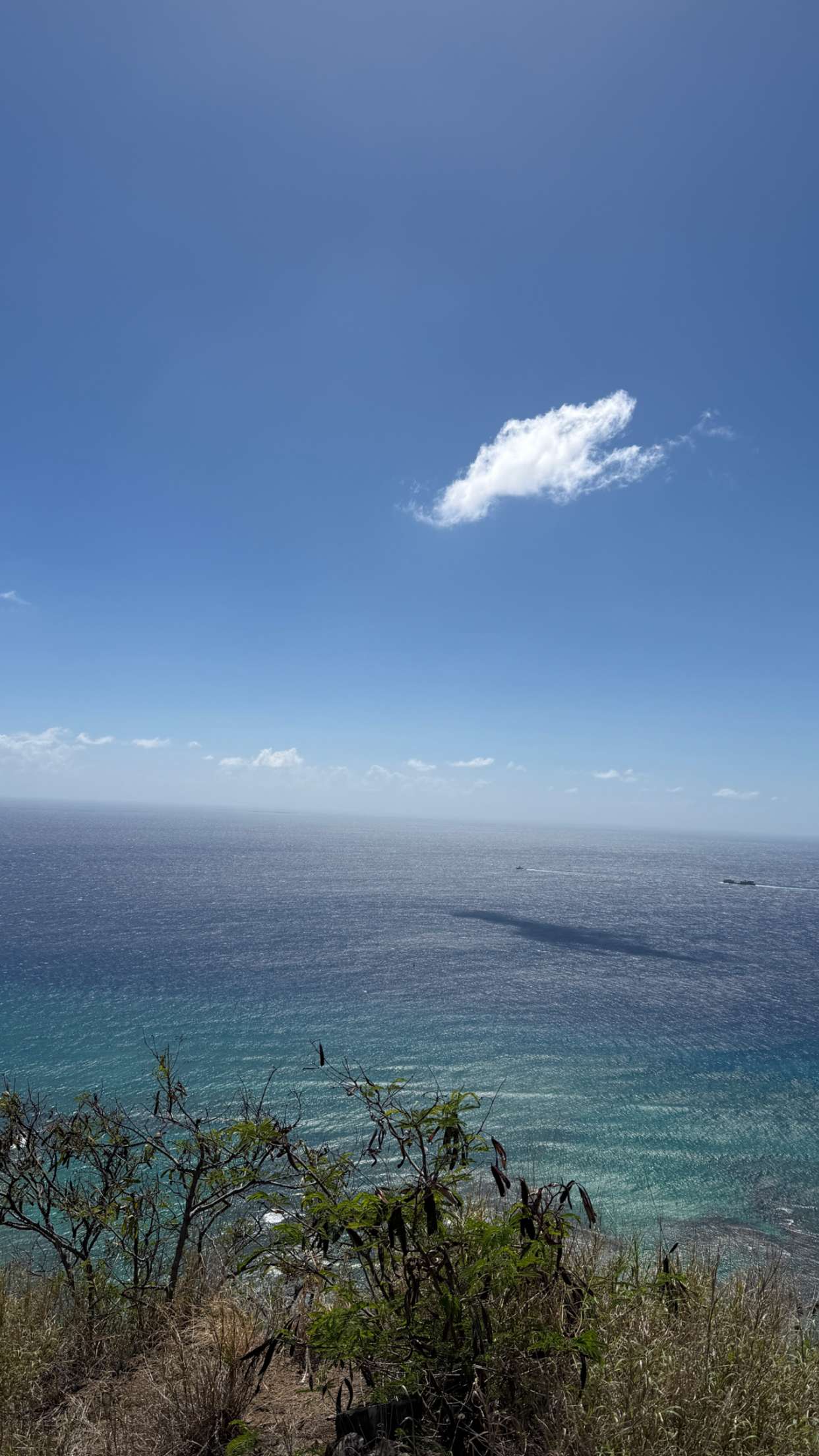 samantrasunny snapchat image archive image