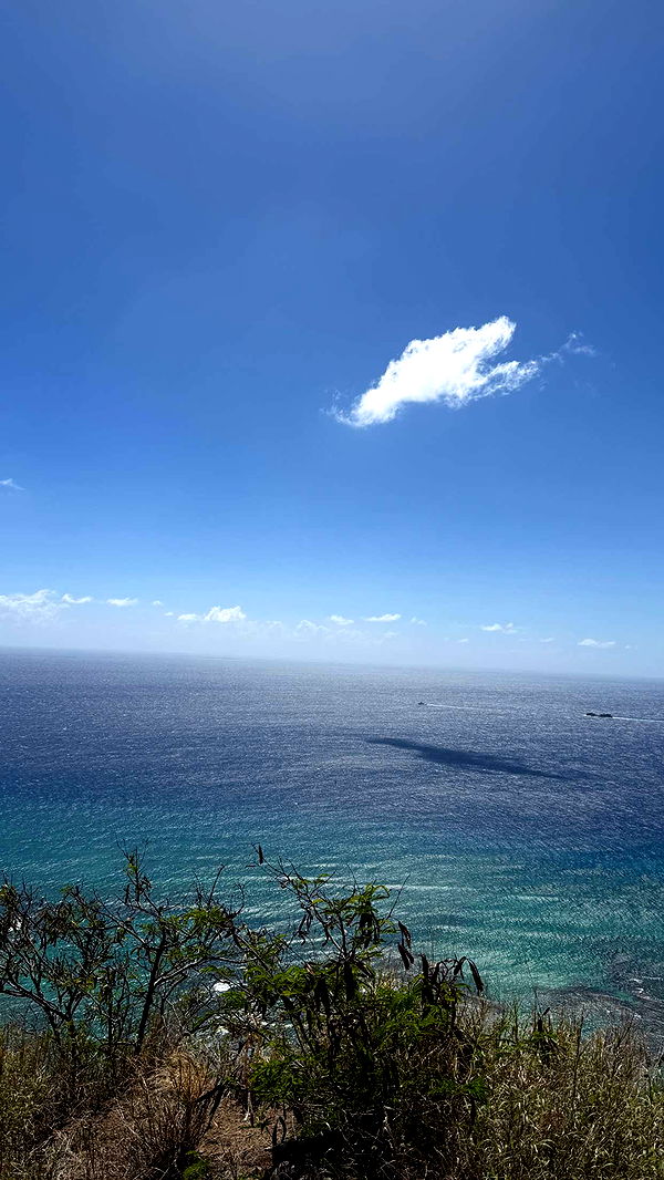 samantrasunny image ~ Altpins